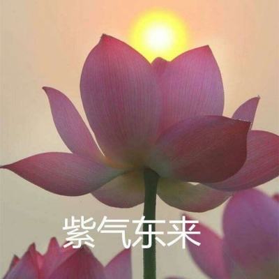 抢滩登陆3d九游版下载
